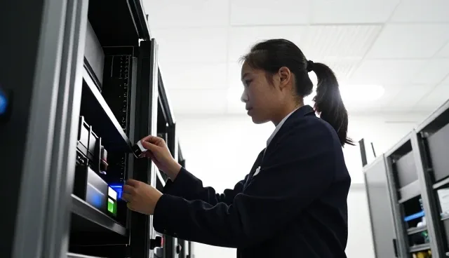 专业服务如何利用技术成果转化提升价值